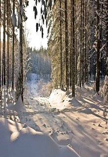 Правило горы (Ирина Верехтина)