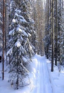 Горка (Ирина Верехтина)