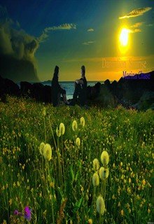 Dandelion Sunrise (Maureen Chase)