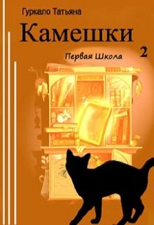 Камешки 2 (первая Школа) (Таня Гуркало)