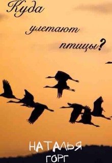 Куда улетают птицы? (Наталья Горг)