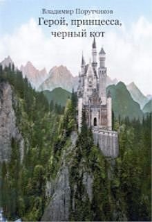 Герой, принцесса, черный кот  Книга 1 (Владимир Порутчиков)