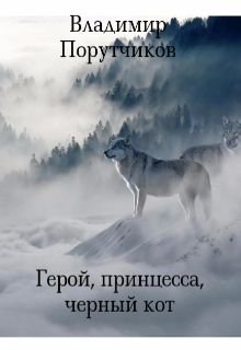 Герой, принцесса, черный кот  Книга 2 (Владимир Порутчиков)