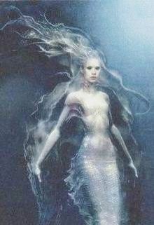 Звери и люди (книга 5) (Юрий Арис)