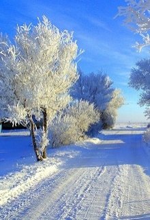 По дороге в детский сад (Лара Вагнер)
