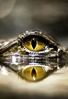 Демон внутри (книга 6) (Юрий Арис)