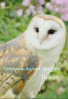 История одной жизни. (Лунай)