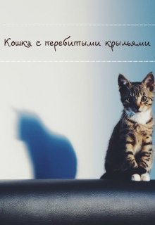 Кошка с перебитыми крыльями (Kim)