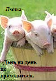 День на день не приходиться. (Пчелка)