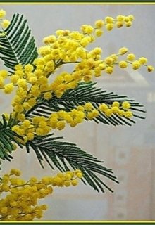 Звонкий голос (Олеся Перепелица)