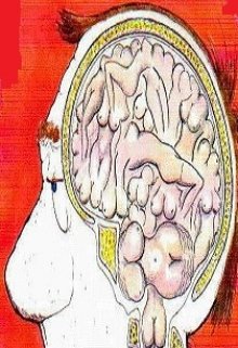 Перспективы и сны (умп)
