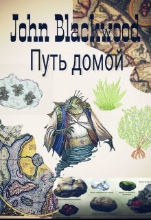 Путь Домой не бывает легким (Авенар Блеквуд)
