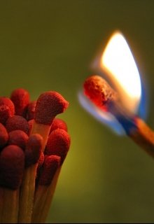Настольная книга поджигателя (Алина Кононова)