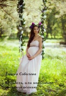 38 недель, или новогоднее желание осенью (Татка Соболева)