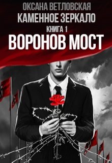 Каменное зеркало. Книга 1. Воронов мост (Оксана Ветловская)