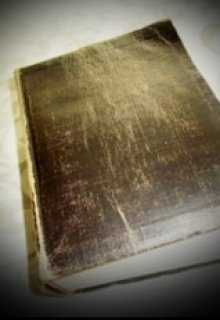 Книга с пустыми страницами (Нэтт)