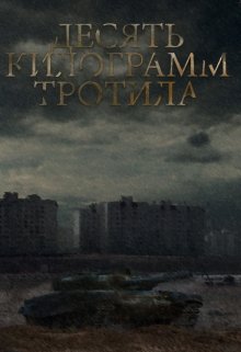 Десять килограмм тротила (Виталий Кучер)