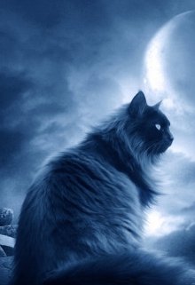 Кошачья благодарность (Астроном)