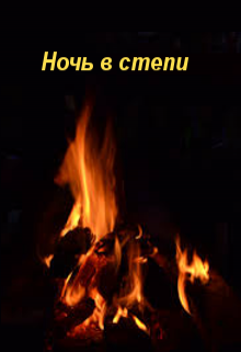 Ночь в степи (Деметрий Скиф)