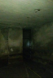 Мрак внутри (дневник обреченного) (Автор Неизвестен)