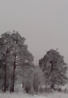 Зимняя мечта (Сейла)