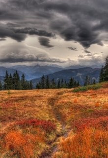 Глупое счастье (Ольга Антер)