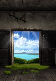 По ту сторону двери. (Olga Bolocan)