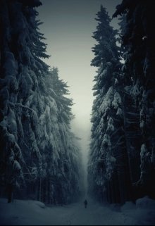 Моя зима (Remi Noir)