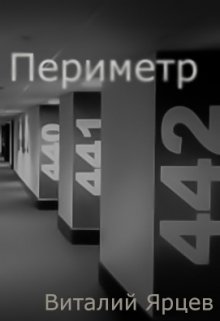 Периметр (Виталий Ярцев)