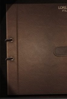 Проклятие Старого Дневника (Холи)
