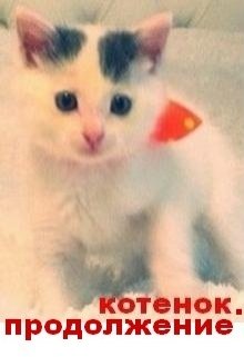 Котенок. Продолжение (Нэтт)