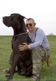 Чёрный хендлер (михаил мещеряков)