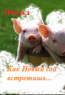 Как Новый год встретишь… (Пчелка)