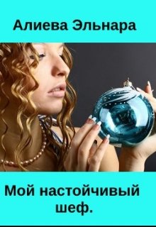 Мой настойчивый шеф. (Karin Tenchi)