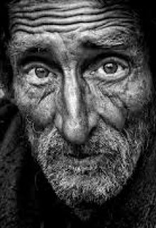 Последняя фотография (Сумкин)