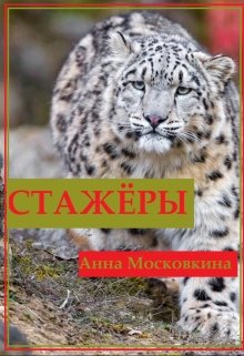Стажёры (Анна Московкина)