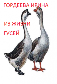 Из жизни гусей (Гордеева Ирина)