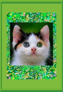 Пестрый котенок (Лара Вагнер)