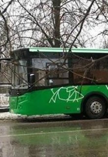 Пластиковые отношения (Руслан Бахтигареев)