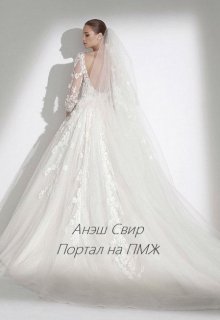Портал на Пмж (Анэш Свир)