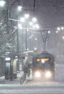 В ожидании автобуса (Сумкин)