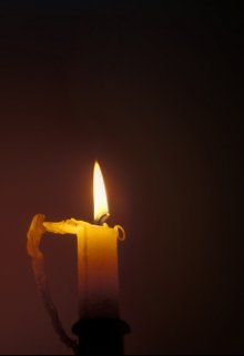 Гибель (In-cogito)