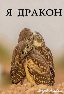 Я дракон (Андрей Анатоль)