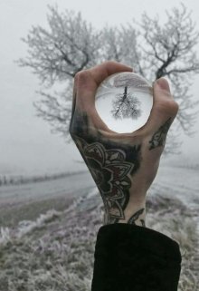 Я стану лучшей светлой, если доживу (Iris Avalon)