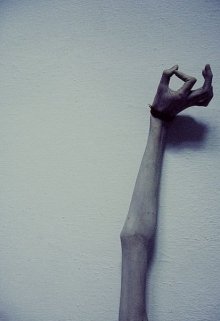 Вены резались сами (Полина Гейден)