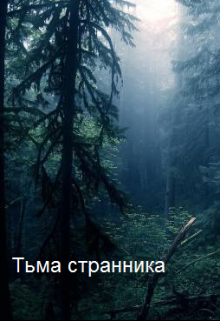 Тьма странника (Нильс Л.)