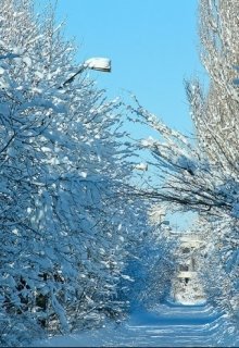 Сон (Nunukaber)