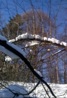 Счастье в тисках (Сергей и Саша Марковы)
