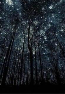 Чудеса Новогодней ночи (Лесана)