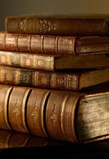 Книга из прошлого (Владислав Осипенко)
